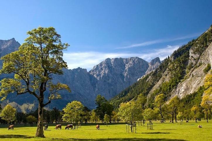 Apartament Alpenfreund Mittenwald Zewnętrze zdjęcie