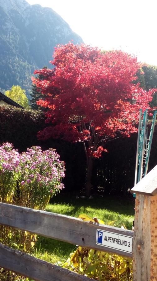Apartament Alpenfreund Mittenwald Zewnętrze zdjęcie